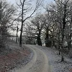 Gresigne Σπίτι διακοπών Larroque (Tarn)