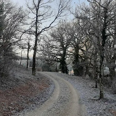 Gresigne Prázdninový dům Larroque (Tarn)