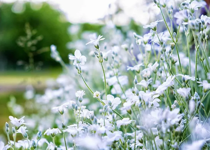 Casa vacanze Gresigne