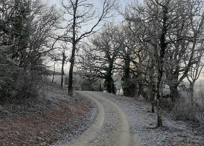 Gresigne Casa vacanze Larroque (Tarn)